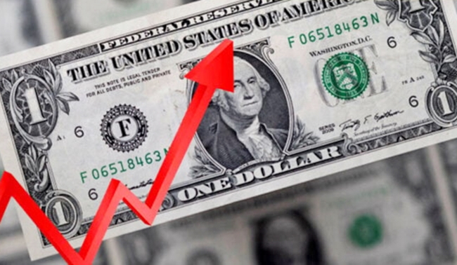 Dolların məzənnəsi bu gün yüksəldi | RƏSMİ RƏQƏMLƏR