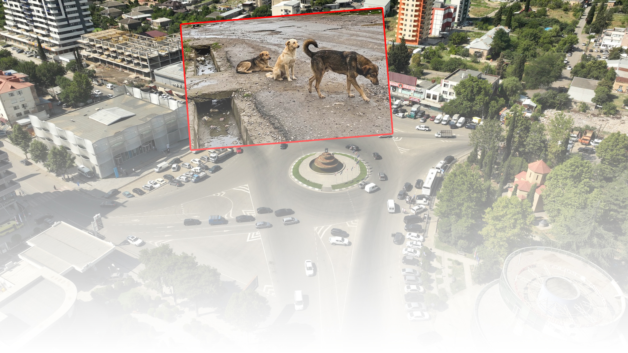 Sahibsiz itlər, yollar və kanalizasiya: Marneulidə sakinlərdən şikayət edir - VİDEO