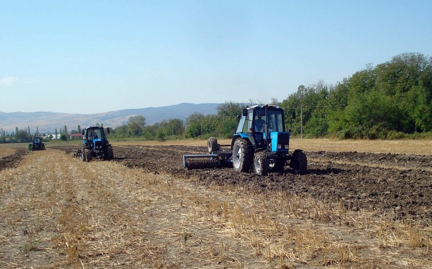 Hökumət Marneuli, Bolnisi, Dmanisidəə torpaq sahələrini satışa çıxarıb
