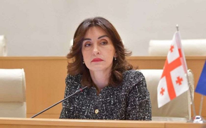 Avroparlamentin Gürcüstanla bağlı qətnamələri milli maraqlarımıza qarşı yönəlib | Boçorişvili