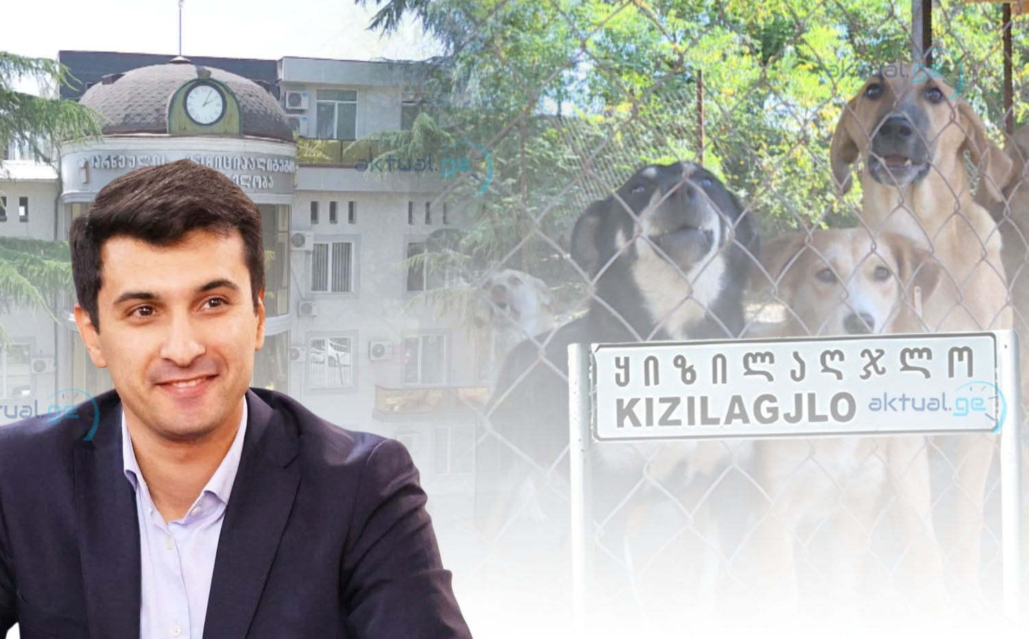 Marneulinin Qızılhacılı kəndində itlər üçün sığınacaq tikiləcək - VİDEO
